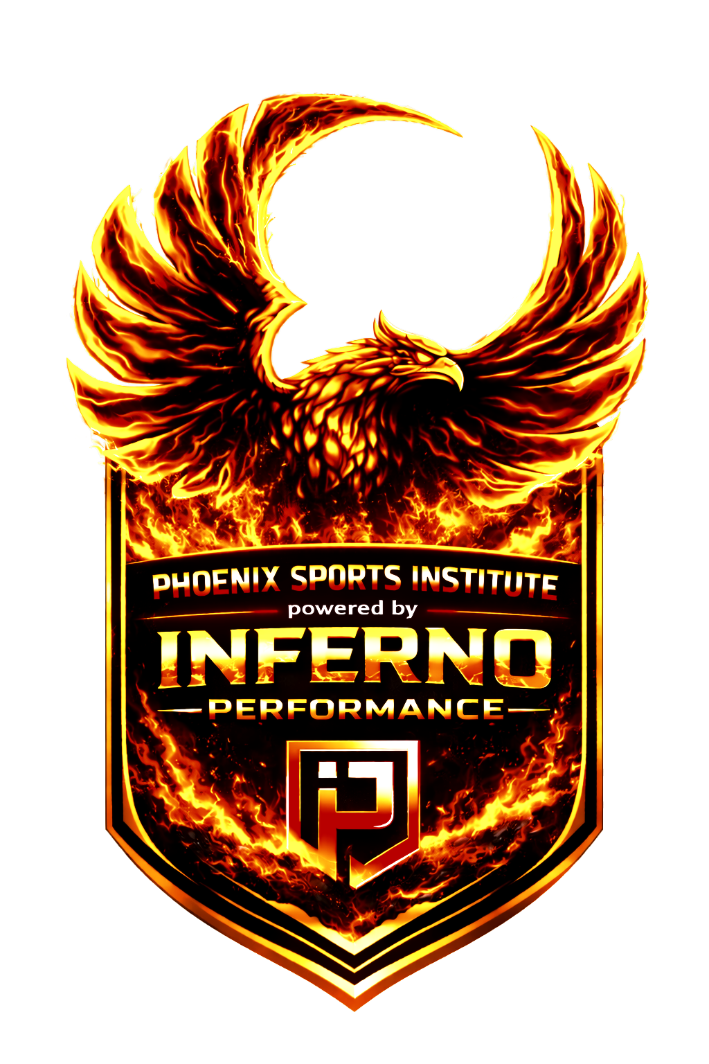 Phoenix Sports Institute